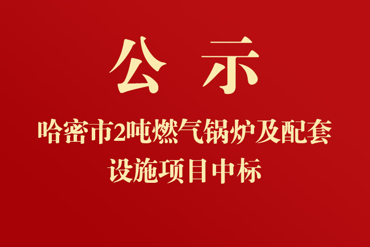 新疆生產(chǎn)建設(shè)兵團(tuán)第十三師紅星醫(yī)院2噸燃