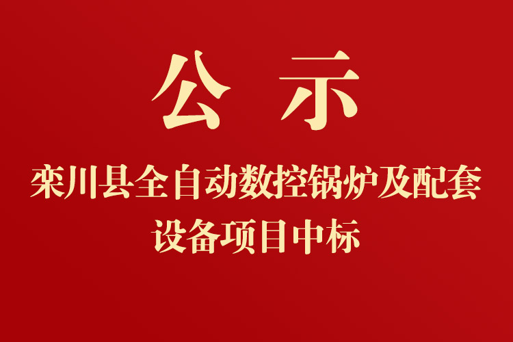 欒川一高新校區(qū)全自動數(shù)控鍋爐及配套設(shè)備